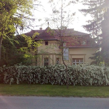Villa Ricz Palić Extérieur photo