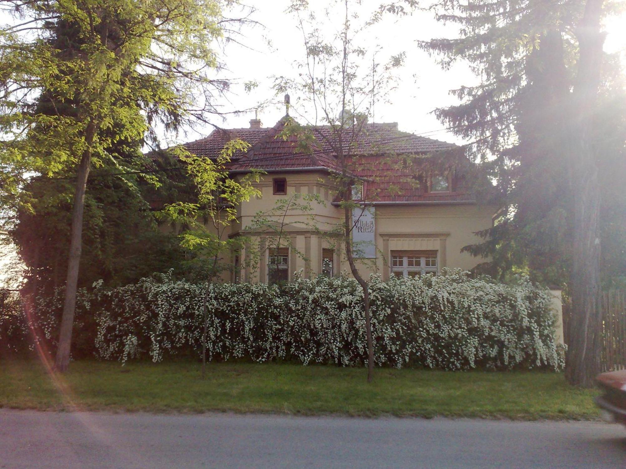 Villa Ricz Palić Extérieur photo