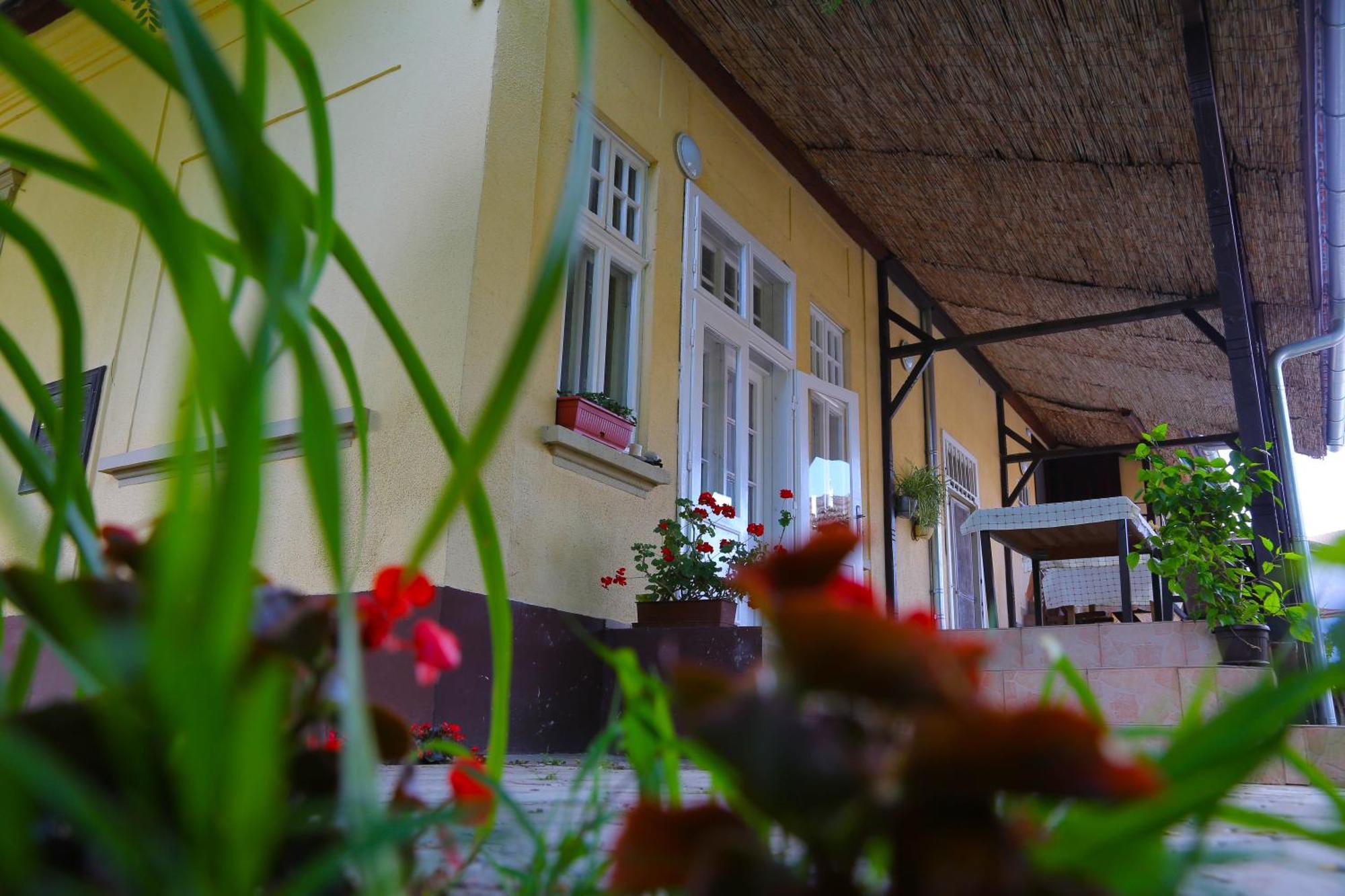 Villa Ricz Palić Extérieur photo