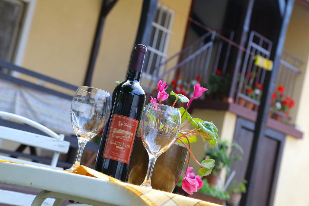 Villa Ricz Palić Extérieur photo
