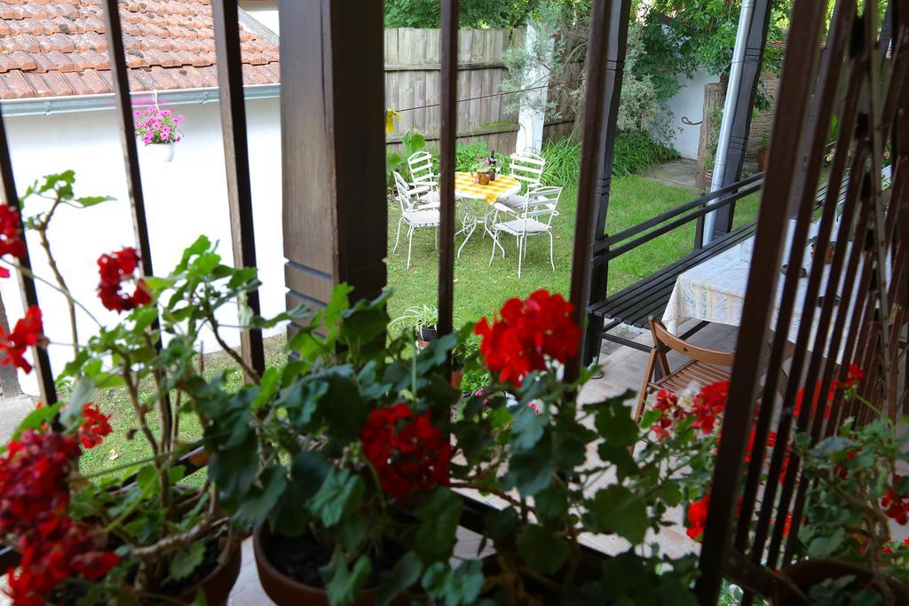 Villa Ricz Palić Extérieur photo