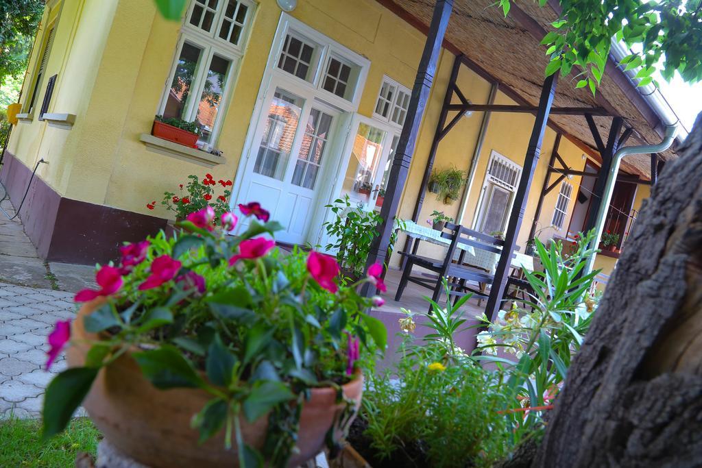 Villa Ricz Palić Extérieur photo