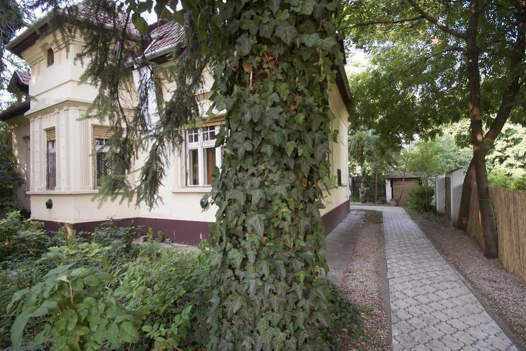Villa Ricz Palić Extérieur photo