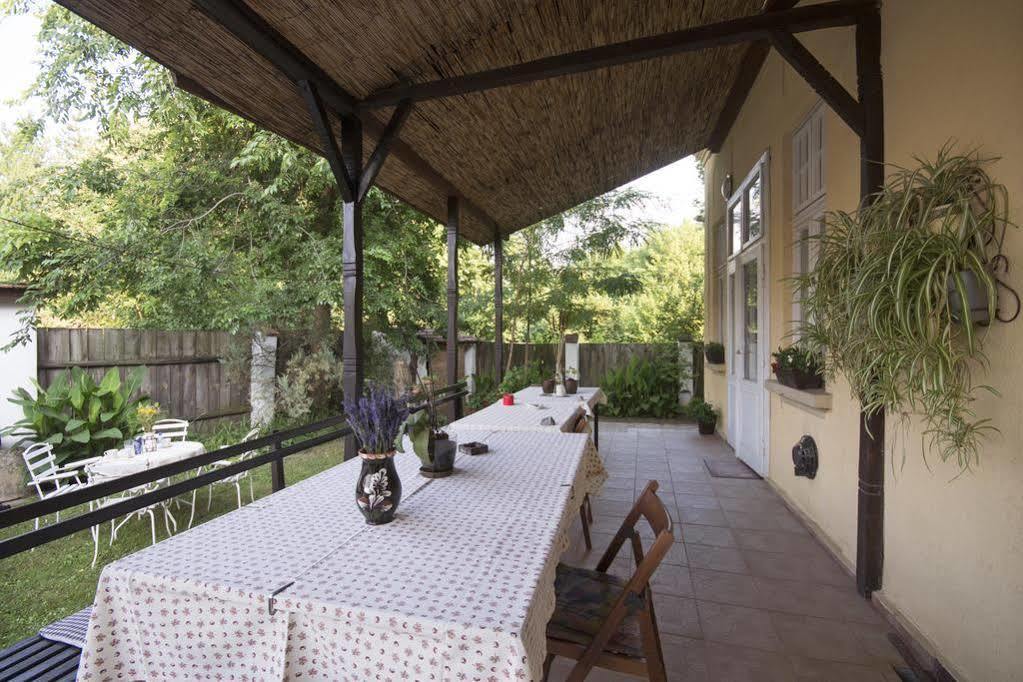 Villa Ricz Palić Extérieur photo